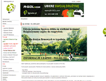 Tablet Screenshot of ligowiec.com.pl