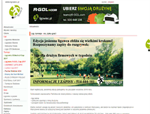 Tablet Screenshot of ligowiec.pl